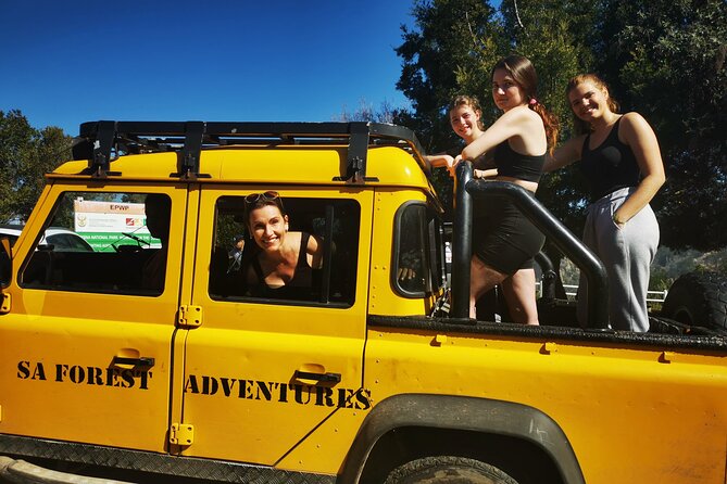 Knysna Ziplines Tour - Is $48.89 good value?
