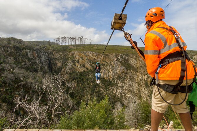Knysna Ziplines Tour - Who will enjoy it, and who should think twice?