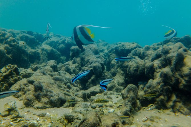 Kosi Bay Mouth Experience - Kayaking, Snorkeling, Fish Trap Tour and Fish braai - What the guiding is like