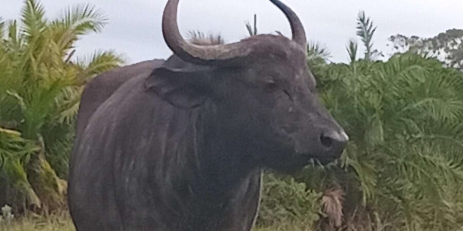 Kragga Kamma Game Park - Snacks are included, but lunch is not