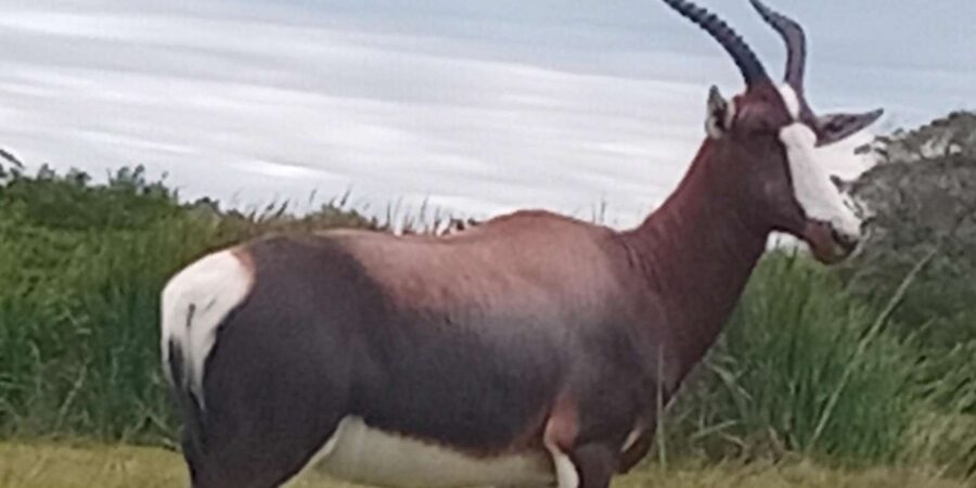 Kragga Kamma Game Park - Is $121 per person fair?