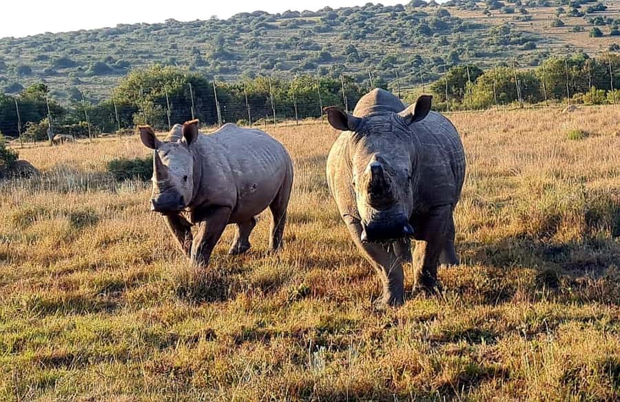 Kragga Kamma Game Park - Who will enjoy this park most?
