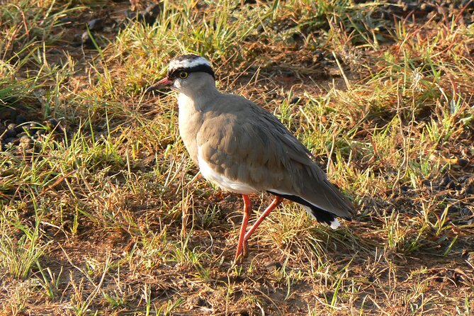 Kragga Kamma Game Park from Port Elizabeth - Photography from a private vehicle