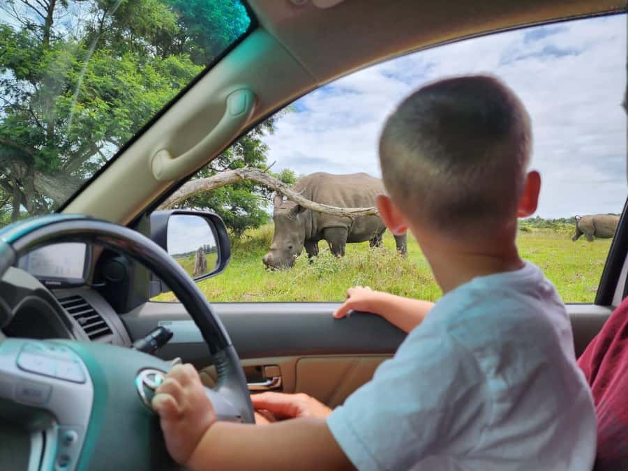 Kragga Kamma Game Park Half Day Safari - Why the relaxed pace matters