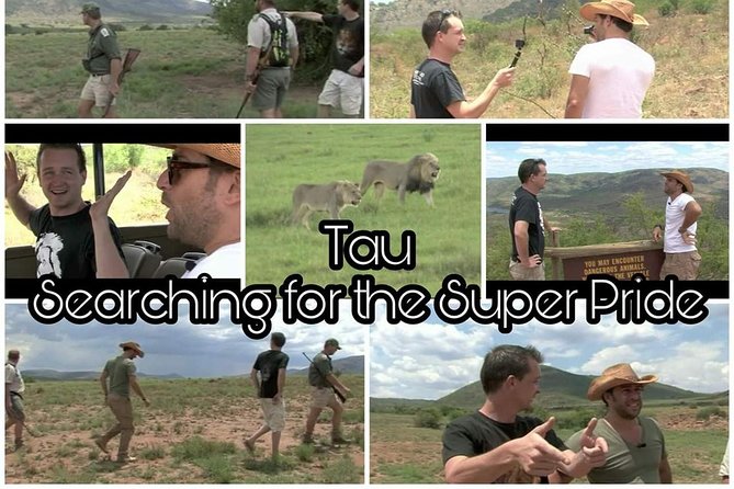 Kruger Lion Expedition with the Little Lionman Steve Kelly - Day one: Johannesburg to Skukuza by way of Blyde River Canyon