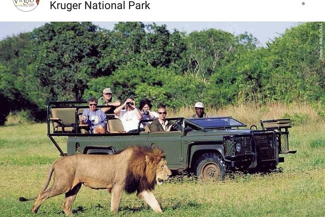 Kruger National Park 2 Days 1 Night Magical Safari from Johannesburg Private - Key points to know before booking