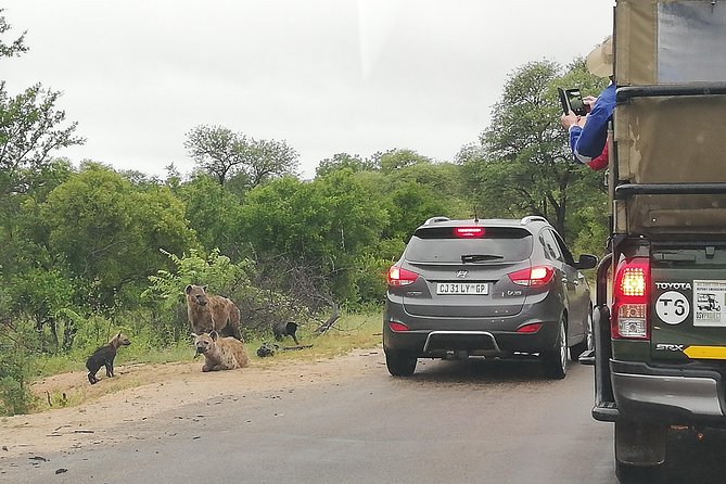 Kruger National Park 2 Days 1 Night Magical Safari from Johannesburg Private - What this two-day Kruger trip is really offering