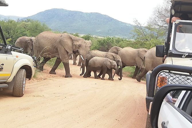 Kruger National Park 2 Days 1 Night Magical Safari from Johannesburg Private - Sleeping in Hazy View before the early start