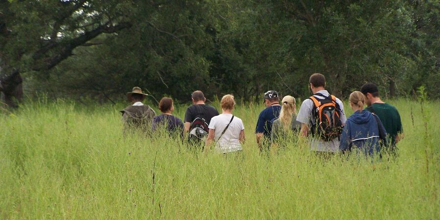 Kruger National Park: 3-Day Essence of the Kruger Safari - Key points to know before booking