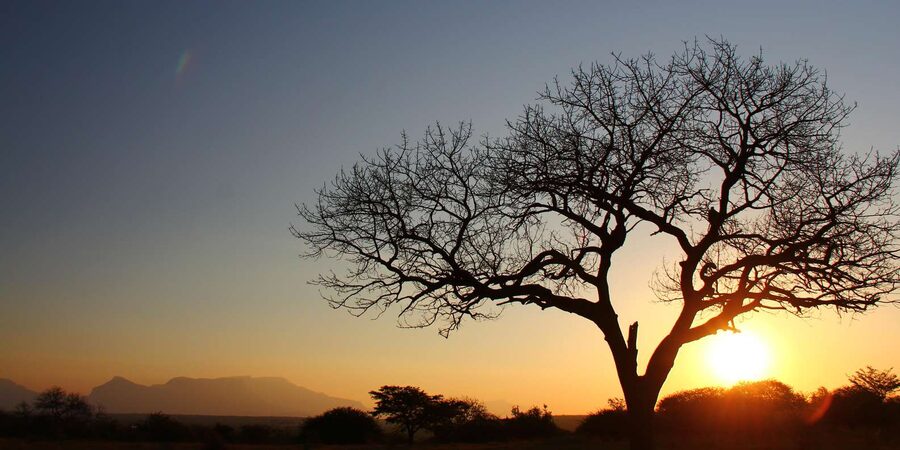 Kruger National Park: 3-Day Essence of the Kruger Safari - Should you book the 3-Day Essence of the Kruger Safari?