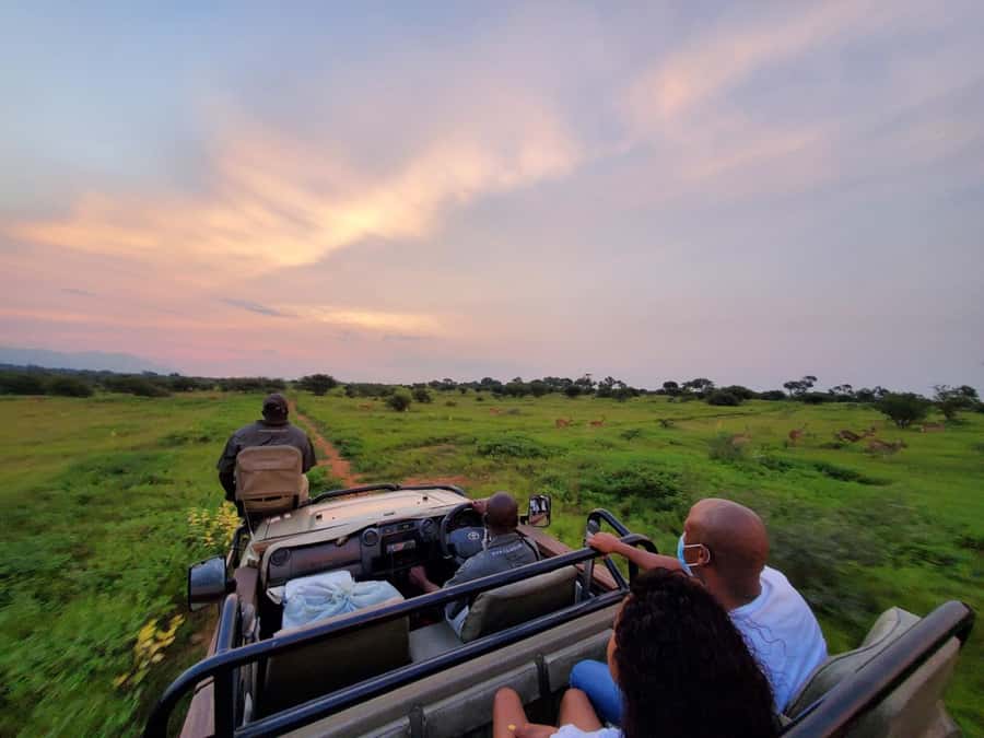 Kruger National Park: 3 Day Safari Tour - Why this three-day format works