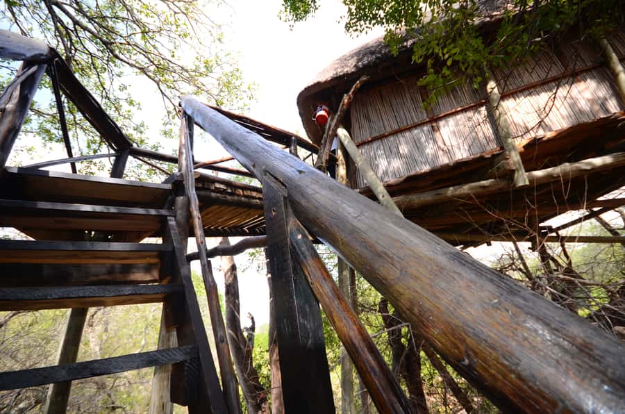 Kruger National Park: 3-Day Safari Tour and Treehouse Stay - Key points at a glance