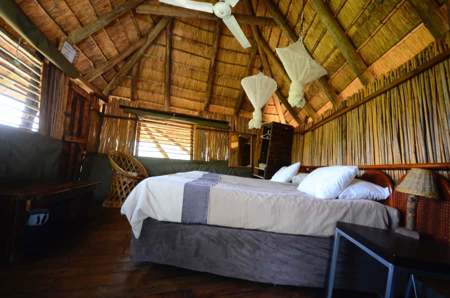 Kruger National Park: 3-Day Safari Tour and Treehouse Stay - Should you book the Kruger three-day safari?