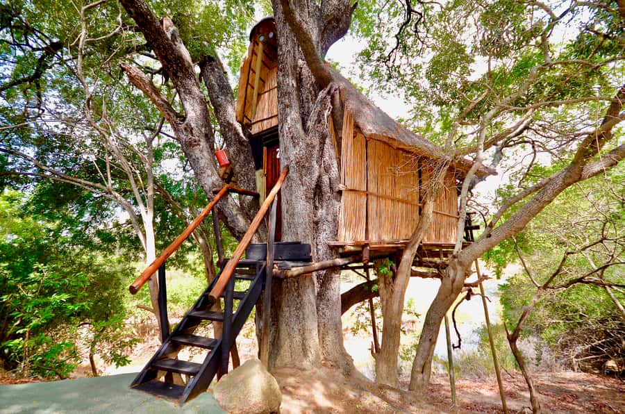 Kruger National Park: 3-Day Safari Tour and Treehouse Stay - What $890 buys you over three days
