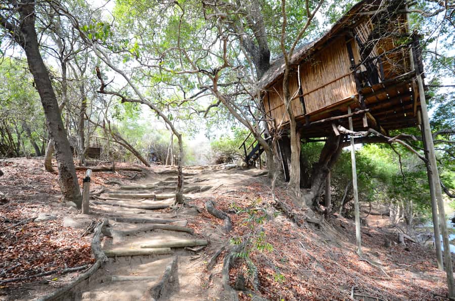 Kruger National Park: 3-Day Safari Tour and Treehouse Stay - Day 2: A full Kruger safari in the Orpen area