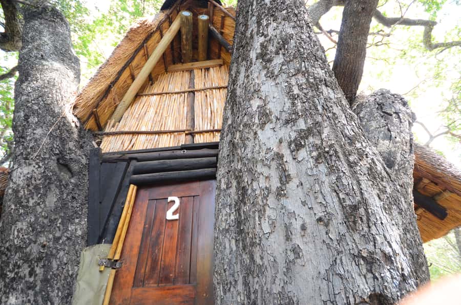 Kruger National Park: 3-Day Safari Tour and Treehouse Stay - Three Rondawels and Blyde River Canyon
