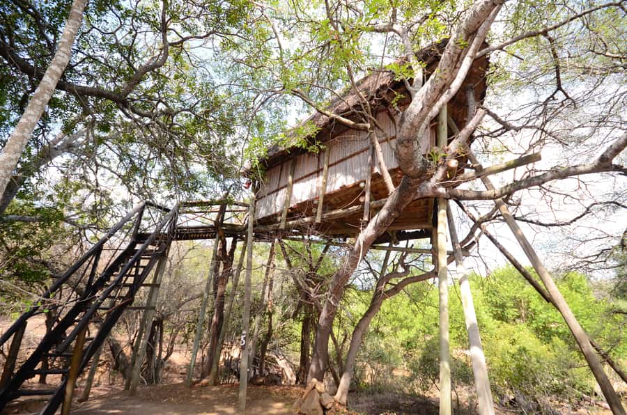 Kruger National Park: 3-Day Safari Tour and Treehouse Stay - Food, guides, and the small-group format