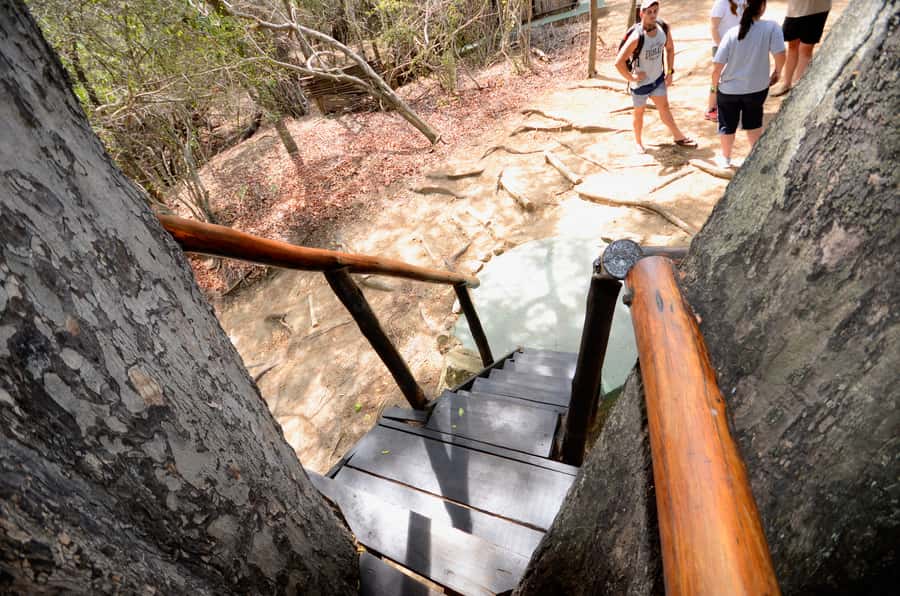 Kruger National Park: 3-Day Safari Tour and Treehouse Stay - Who should book this safari