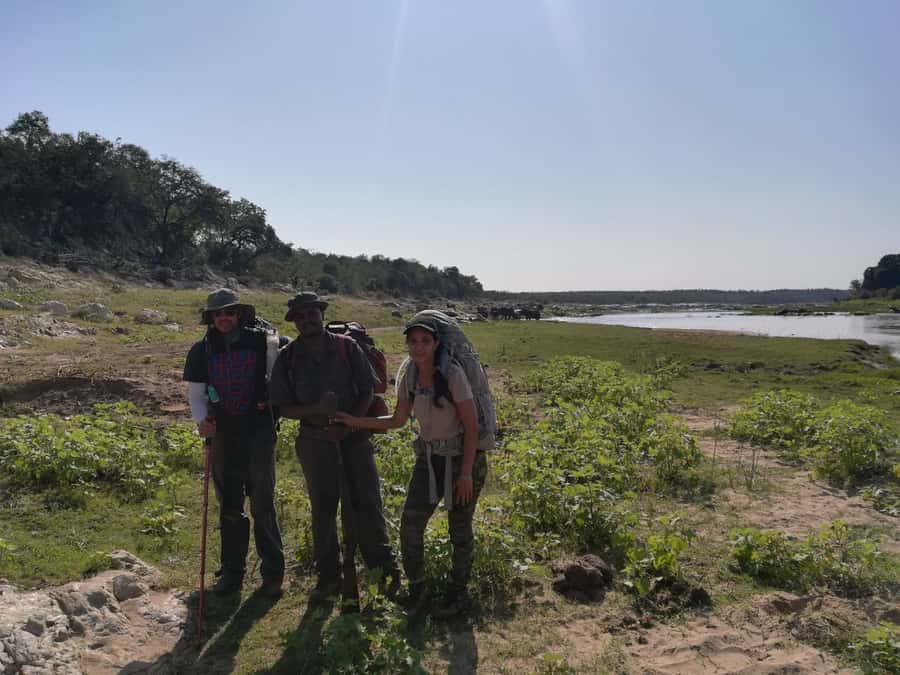 Kruger National Park: 3-Hour Walking Safari - Key points to know before booking