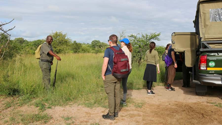 Kruger National Park: 3-Hour Walking Safari - Bush survival lessons with a local guide