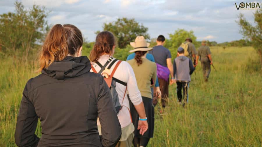 Kruger National Park: 3-Hour Walking Safari - What the $138 price includes