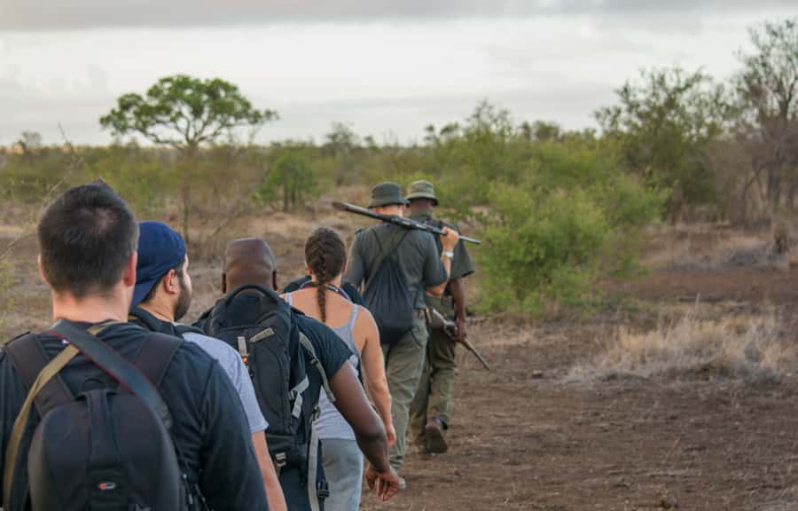 Kruger National Park: 3-Hour Walking Safari - The early morning timing needs careful planning
