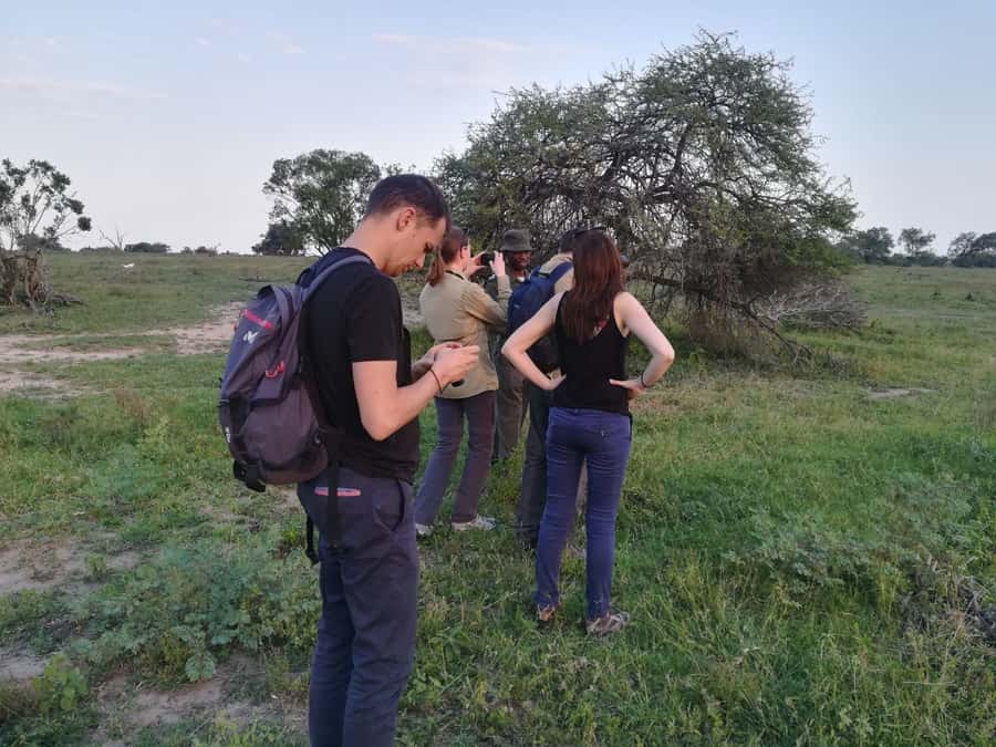 Kruger National Park: 3-Hour Walking Safari - Who should book this walking safari?