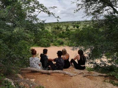 Kruger National Park – 4 Day Safari Tour