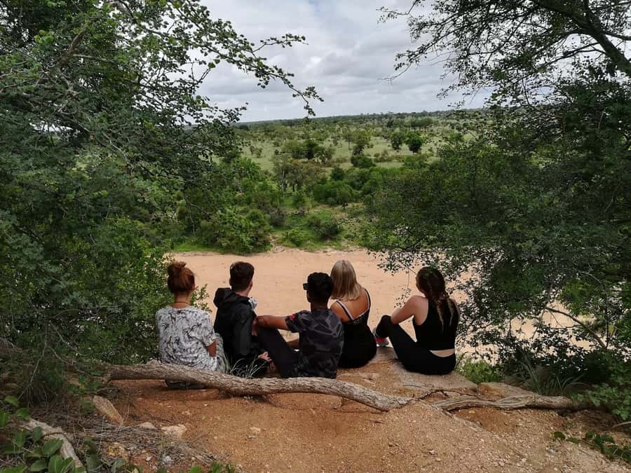 Kruger National Park - 4 Day Safari Tour - Day one: a sunset drive with a sundowner