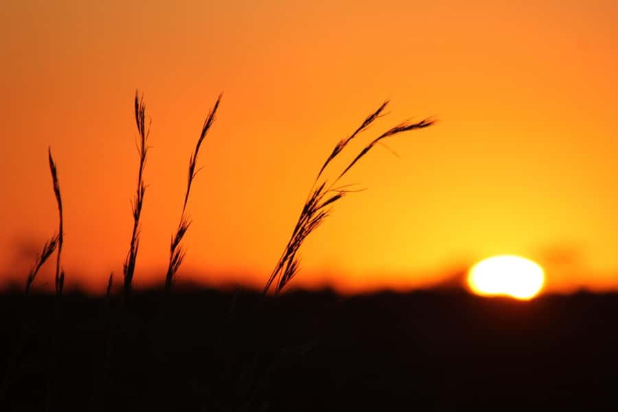 Kruger National Park - 5 Day Safari Tour - Why this five-day plan works