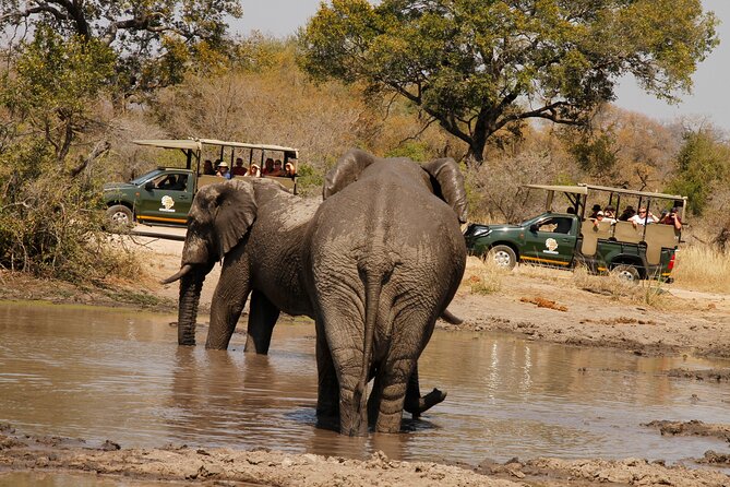Kruger National Park Afternoon Private safari - Entering Kruger National Park at 1:30 pm