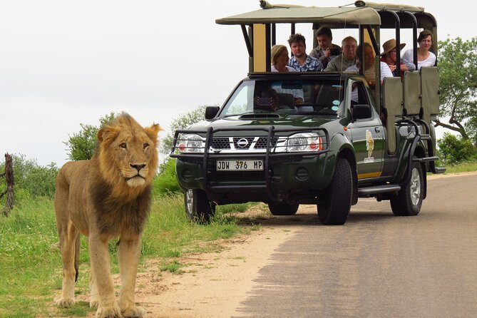 Kruger National Park Afternoon Private safari - Pickup, Timing, and the End of the Tour
