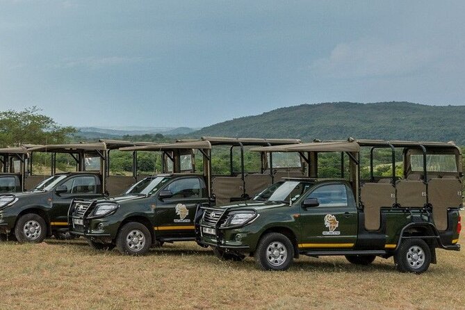 Kruger National Park Afternoon Private safari - Who Should Book This Safari