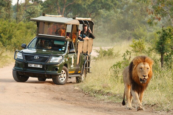Kruger National Park Afternoon Private safari - What You Can Expect From the Game Drive