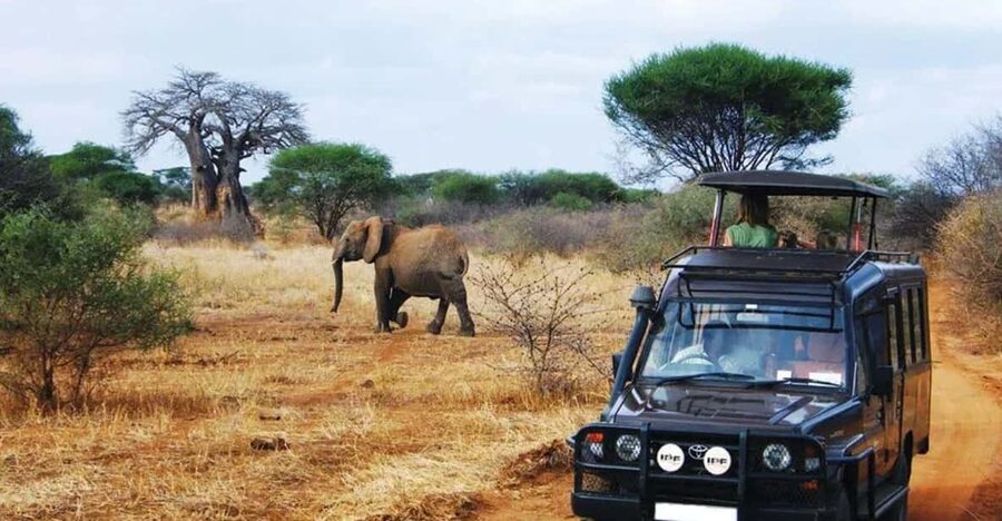 Kruger National Park & Blyde River Canyon 4 Day Safari - Key things to know before booking