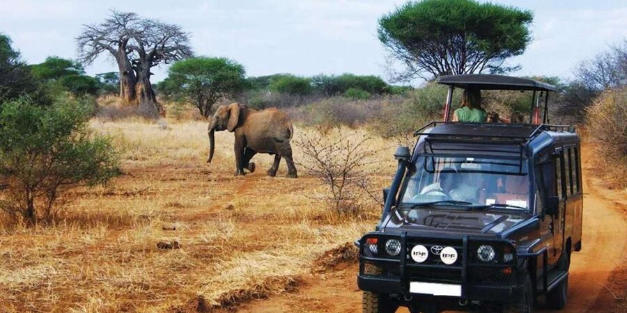 Kruger National Park & Blyde River Canyon 4 Day Safari - Day 2: Kruger from 5:30am to 3:00pm