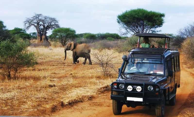 Kruger National Park & Blyde River Canyon 4 Day Safari - Bourke’s Luck Potholes and the power of water