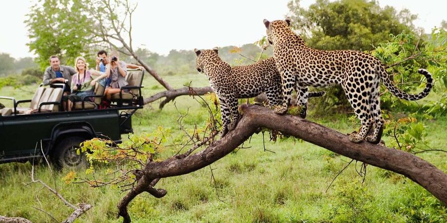 Kruger National Park & Blyde River Canyon 4 Day Safari - Accommodation, food, and practical comfort