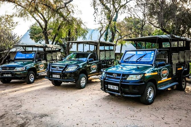 Kruger National Park Day Trip From Johannesburg - The real shape of this Kruger day trip