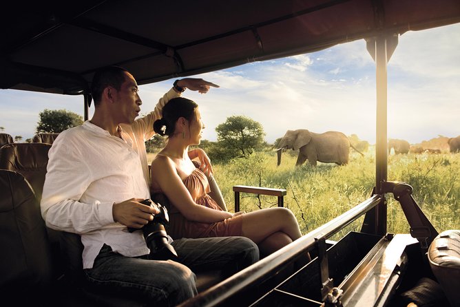 Kruger National Park Full Day Big 5 Safari Tour From Hazyview - Key points to know before booking