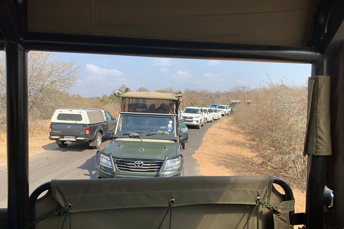 Kruger National Park Full Day Big 5 Safari Tour From Hazyview - Who should book this Hazyview safari