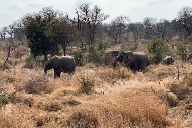 Kruger National Park Full Day Big 5 Safari Tour From Hazyview - Booking, cancellation, and practical details