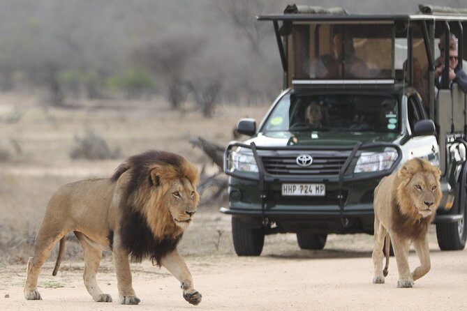 Kruger National Park Full Day Private safari - What the rest camps add to the safari
