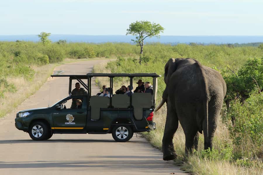 Kruger National Park: Full-Day Private Safari With Pickup - The safari at a glance