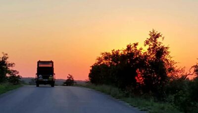 Kruger National Park: Full-Day Private Safari With Pickup
