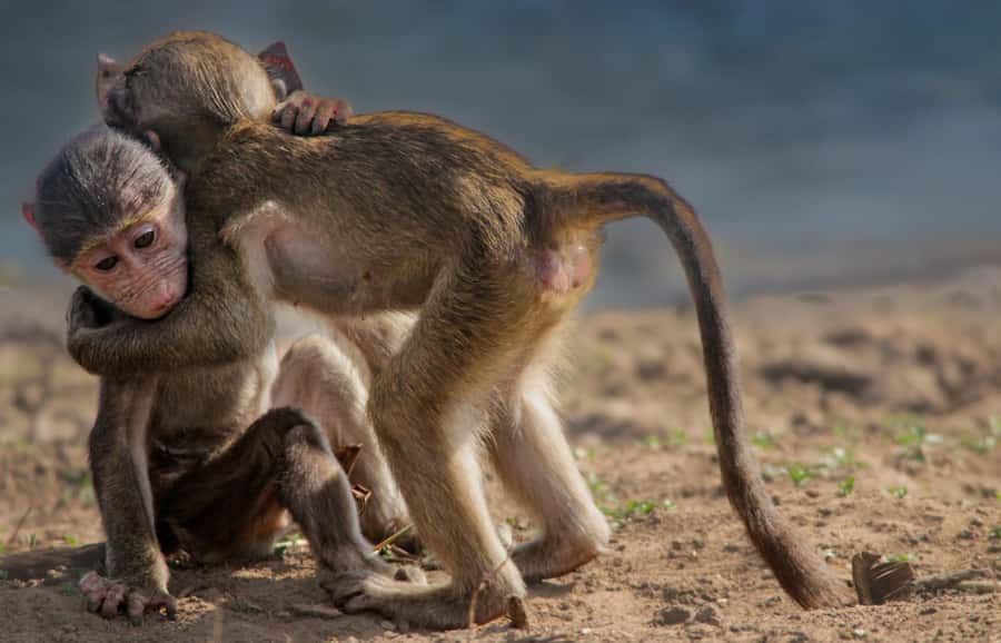 Kruger National Park Full-Day Safari - Birds, trees, and the quieter side of Kruger