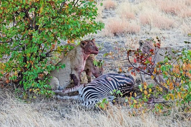 Kruger National Park Full Day Tour Minimum 2people - What the $80.52 price really covers