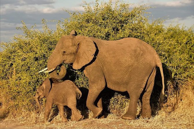 Kruger National Park Full Day Tour Minimum 2people - Guides who turn a drive into a safari