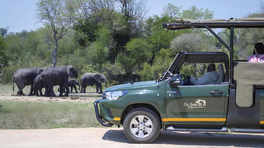 Kruger National Park Game Drive (Half-Day PM) - Key points to know before you book