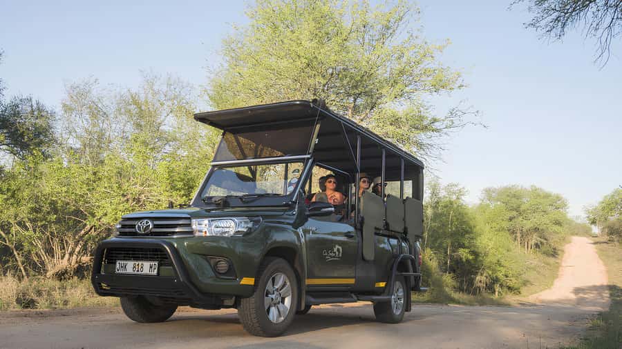 Kruger National Park Game Drive (Half-Day PM) - Why an open vehicle changes the Kruger experience